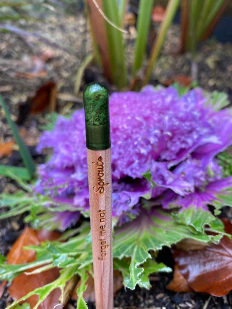 Sprout Pencils – the perfect gift